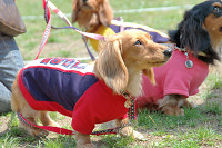 picnic_land_C-0025.jpg