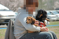 picnic_land_C-0030.jpg
