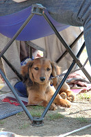 picnic_land_C-0031.jpg