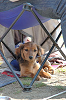 picnic_land_C-0031_thumb.png