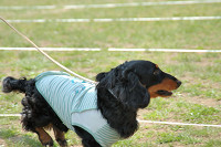 picnic_land_C-0034.jpg