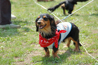 picnic_land_C-0035.jpg