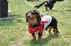 picnic_land_C-0035_thumb.png