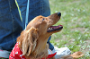 picnic_land_C-0036_thumb.png