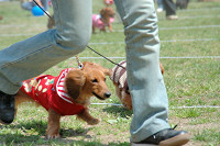 picnic_land_C-0046.jpg