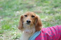 picnic_land_C-0048.jpg