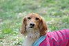 picnic_land_C-0048_thumb.png