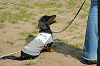 picnic_land_C-0050_thumb.png