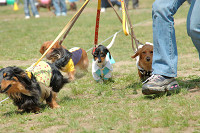 picnic_land_C-0056.jpg