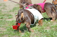 picnic_land_C-0057.jpg
