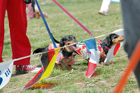picnic_land_C-0059.jpg