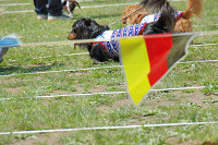 picnic_land_C-0060.jpg