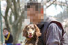 picnic_land_C-0061_thumb.png