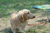 picnic_land_C-0062_thumb.png