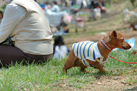 picnic_land_C-0063.jpg