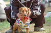 picnic_land_C-0064_thumb.png