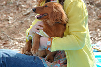 picnic_land_C-0065.jpg