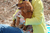 picnic_land_C-0065_thumb.png