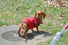 picnic_land_C-0074_thumb.png