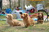 picnic_land_C-0075_thumb.png