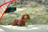 picnic_land_C-0076.jpg