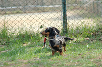 picnic_land_C-0077.jpg