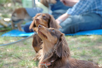 picnic_land_C-0079.jpg
