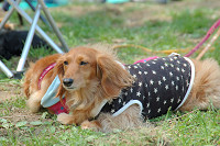 picnic_land_C-0082.jpg
