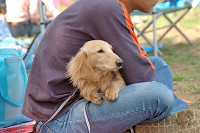 picnic_land_C-0083.jpg