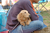 picnic_land_C-0083_thumb.png