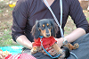 picnic_land_C-0084_thumb.png