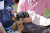 picnic_land_C-0085_thumb.png