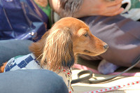 picnic_land_C-0086.jpg