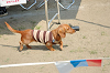 picnic_land_C-0091_thumb.png