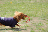 picnic_land_C-0092_thumb.png
