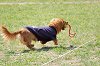 picnic_land_C-0093_thumb.png