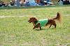 picnic_land_C-0094_thumb.png
