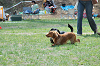 picnic_land_C-0095_thumb.png