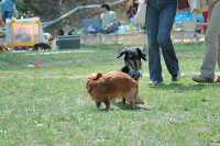 picnic_land_C-0096.jpg