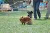 picnic_land_C-0096_thumb.png