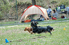picnic_land_C-0097_thumb.png