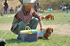 picnic_land_C-0099_thumb.png