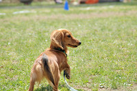 picnic_land_C-0100.jpg