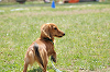 picnic_land_C-0100_thumb.png