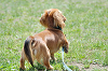 picnic_land_C-0101_thumb.png
