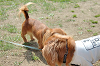 picnic_land_C-0102_thumb.png