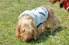picnic_land_C-0105_thumb.png