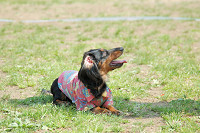 picnic_land_C-0112.jpg