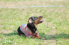 picnic_land_C-0112_thumb.png