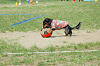 picnic_land_C-0113_thumb.png